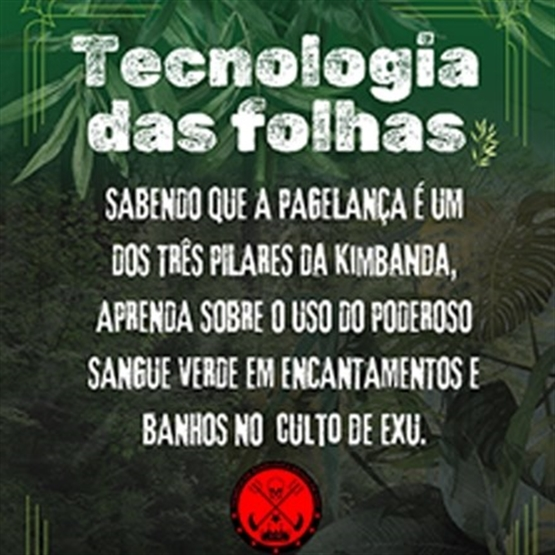 Tecnologia das Folhas